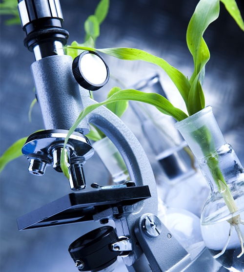 武漢格迪泰健康科技有限公司